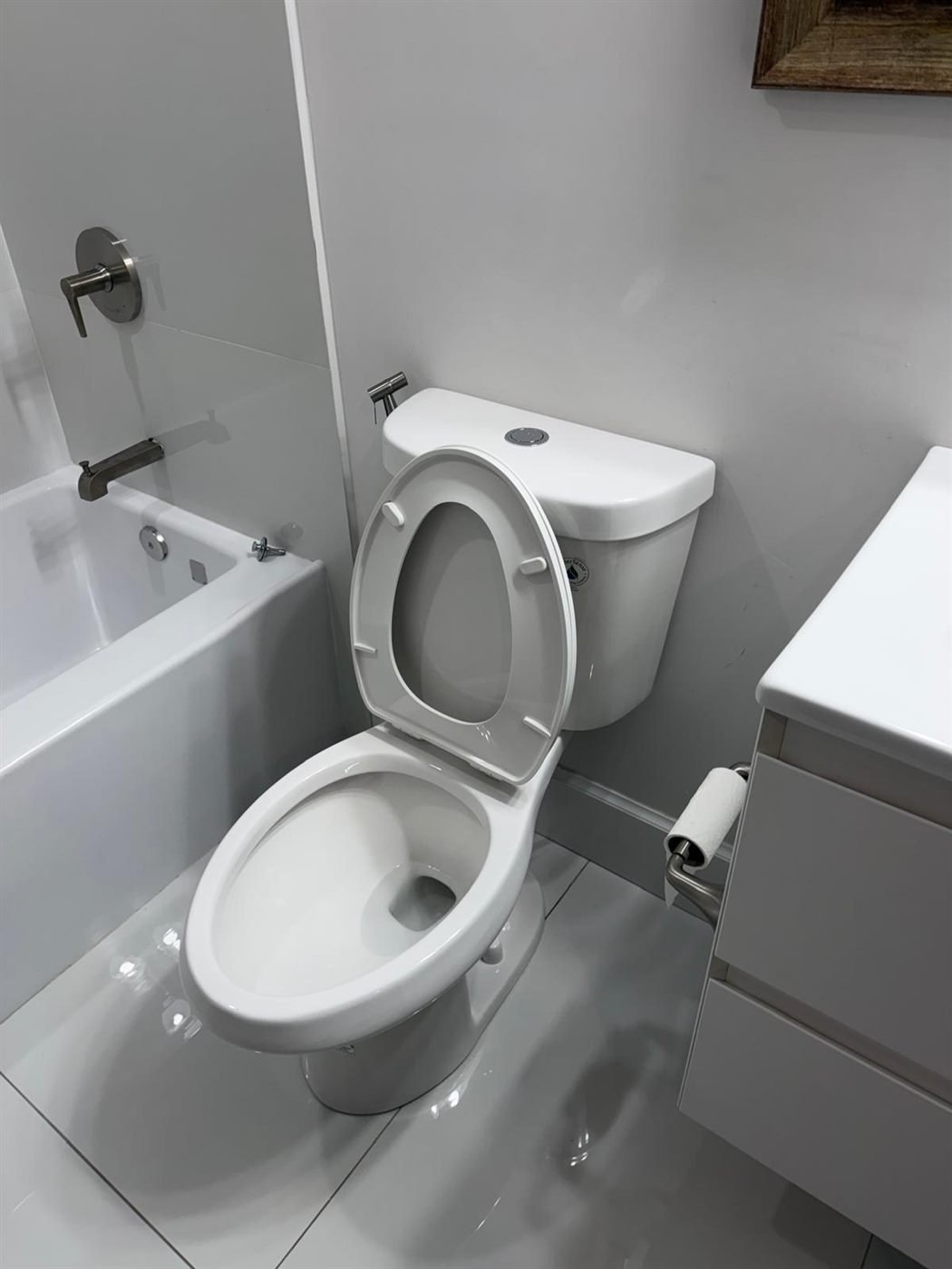 Sanitized toilet and tub after a move-out cleaning